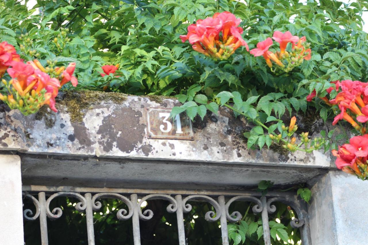 31 Rive Gauche Hotel Saint-Aignan  Eksteriør billede